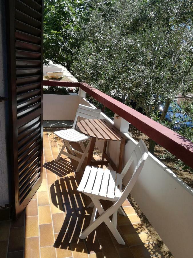 Aenona Sunny Apartment Vrsi Extérieur photo